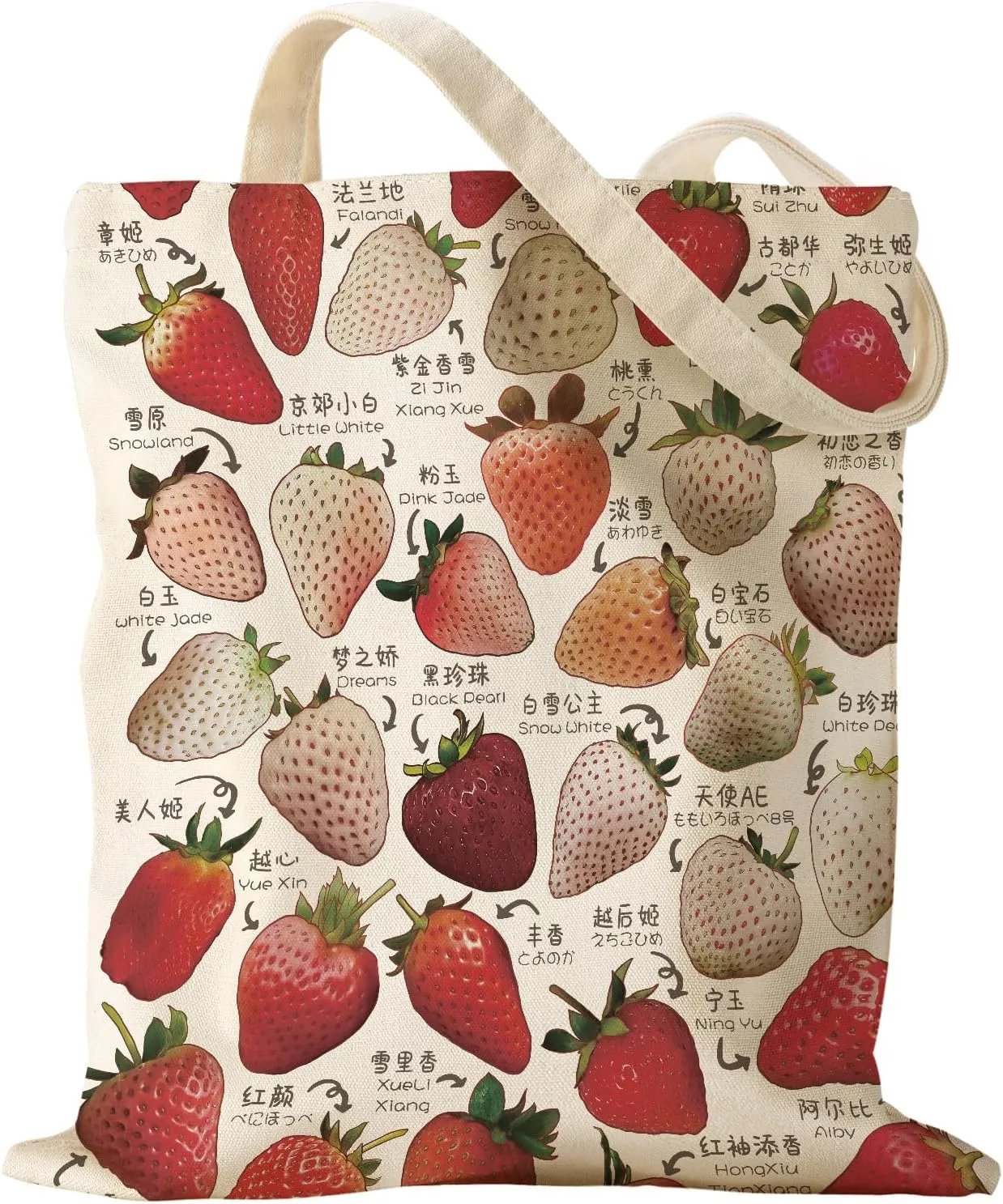 Aesthetic Canvas Tote Bag for Women - Sturdy Cloth Cotton Totes Bag with Pattern Shoulder Bag